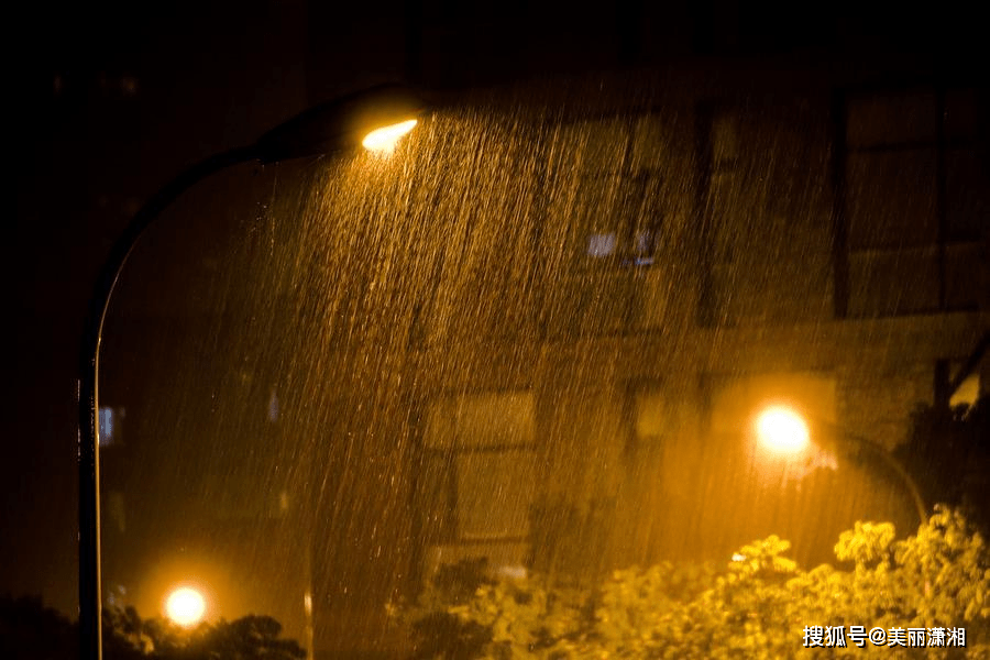 邹和阳散文:那夜的雨