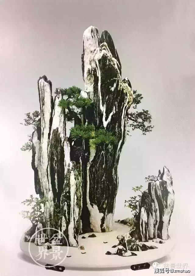 山水盆景欣赏