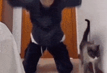 搞笑gif:你抓娃娃就好好抓娃娃 ,你这抓我裤衩子干嘛?