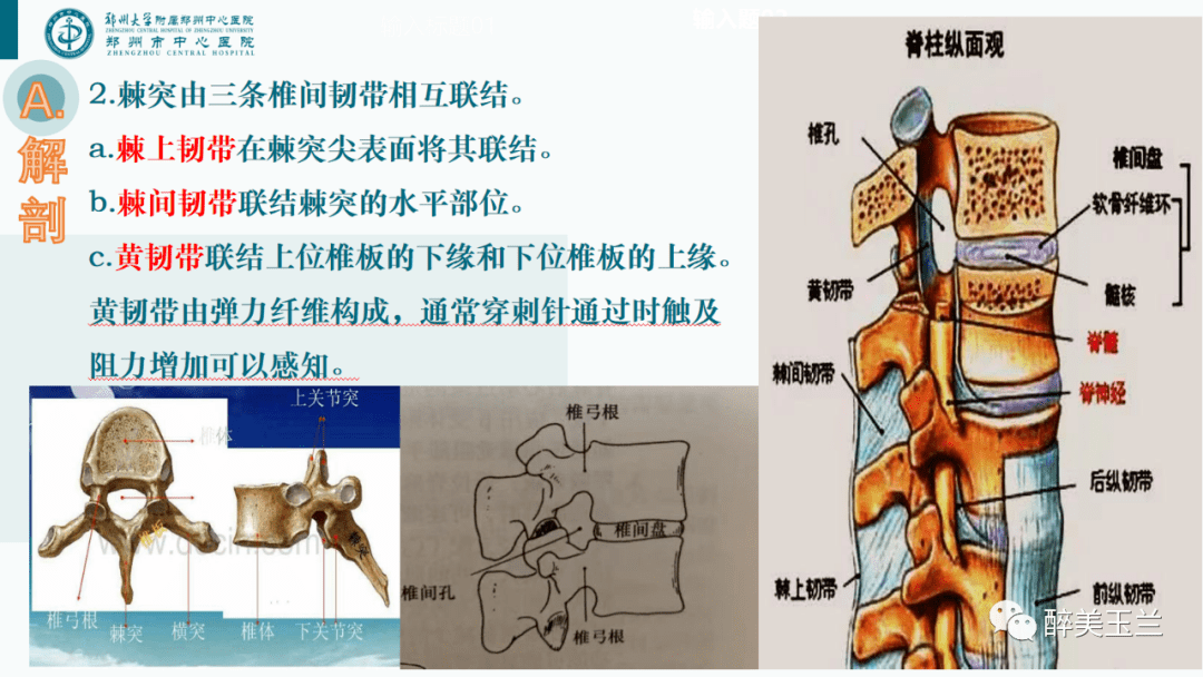 脊麻,硬膜外和骶管麻醉