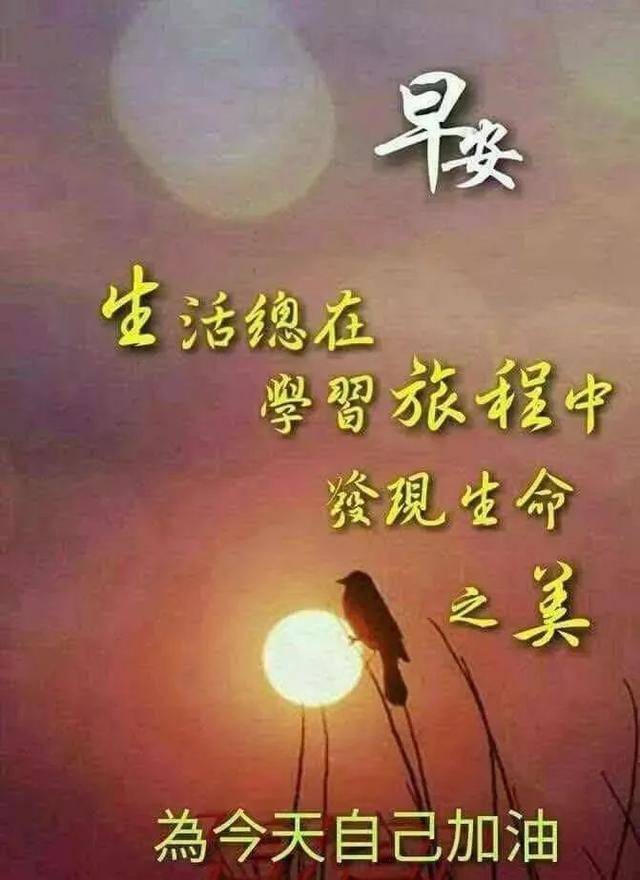 漂亮的清晨早上好带字祝福图片,早上好问候表情图片祝福语