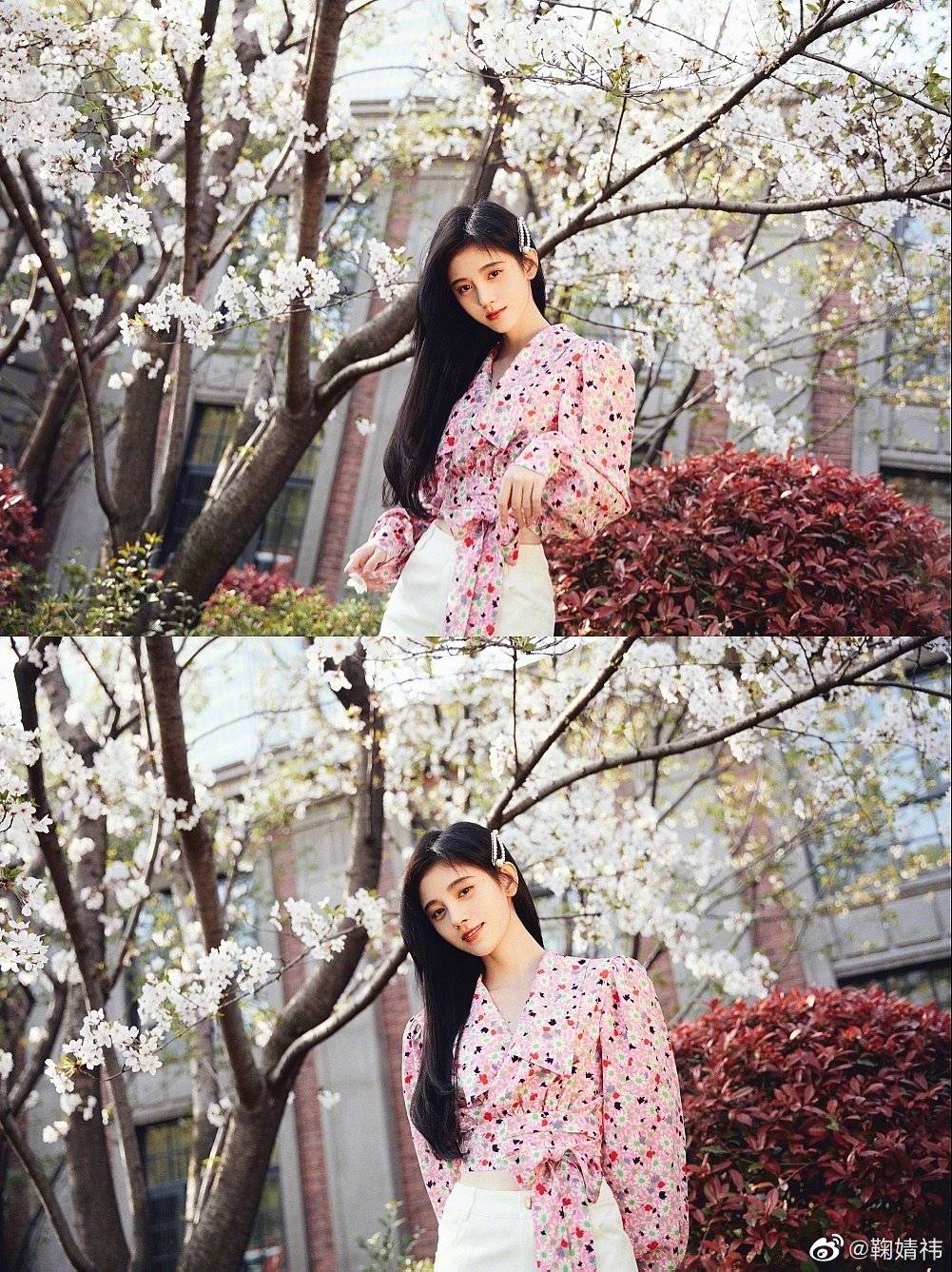 鞠婧祎新造型引热议,樱花照酷似日式美女,冯提莫春日照甜味十足
