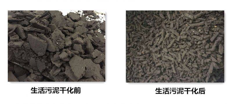 污泥烘干减量市场前景无量,"钱景"巨大, 威凌菲斯:以过硬的技术赢口碑