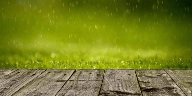 原创"天街小雨润如酥"唐代无人敢仿,200多年后苏轼试一把,有水平