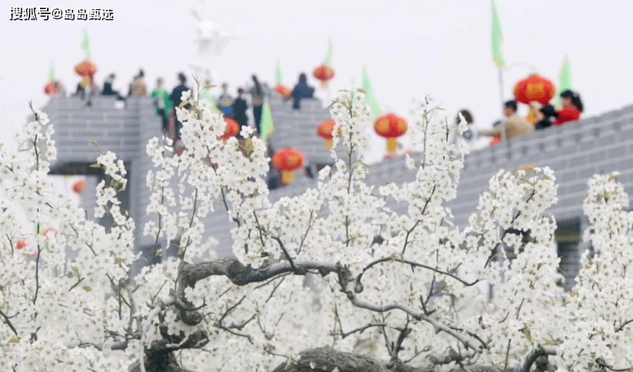 2021莱阳第三十届浪漫梨花节4月10日盛大开幕