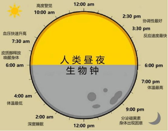 γ氨基丁酸解开失眠障碍困局卓维司重塑健康生物钟