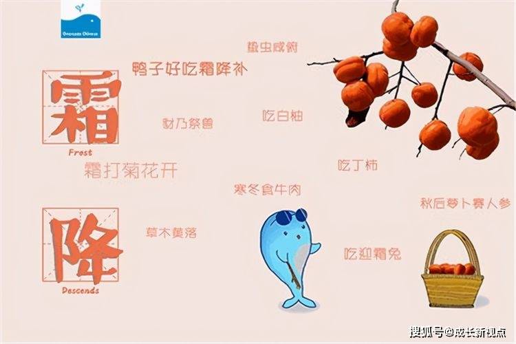 原创霜降时节秋高气爽除了登高赏菊还有什么习俗