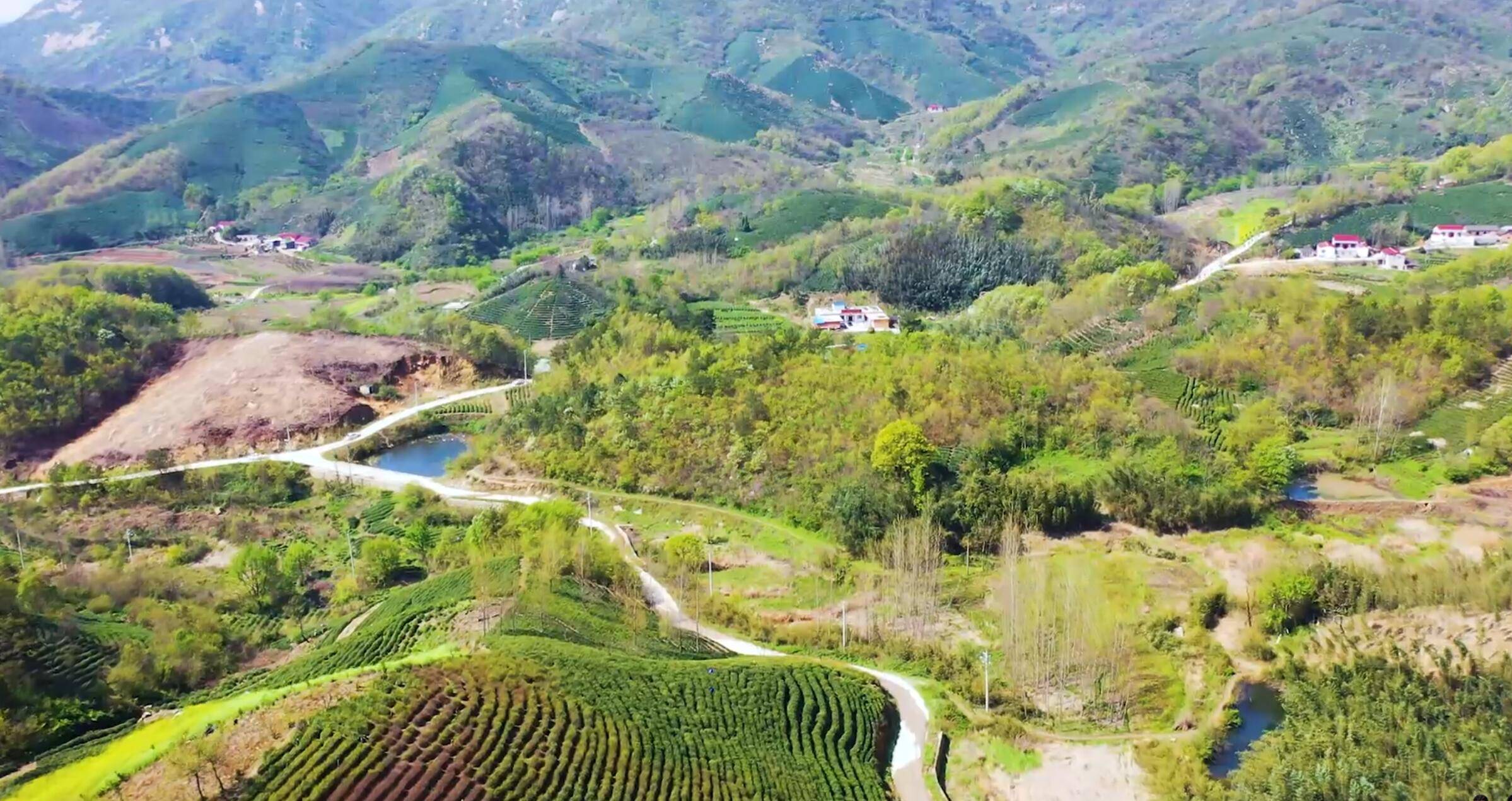 两潭,一寨,一门"的浉河区谭家河乡土门村肖家湾,是一家集种植,生产