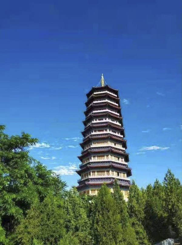 南郭寺后山上新建的宝塔