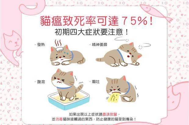 猫瘟病毒概况及其防控