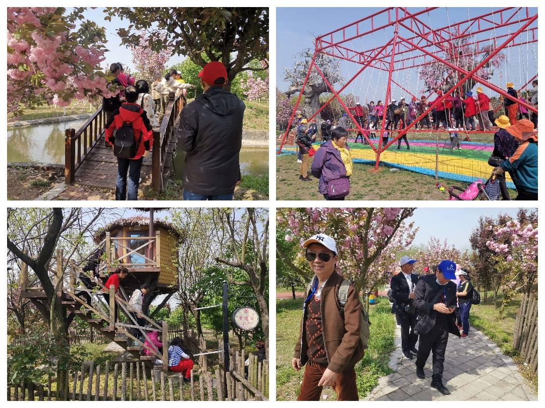 八百多名成都游客在平舆县蓝天芝麻小镇景区开启踏春休闲之旅