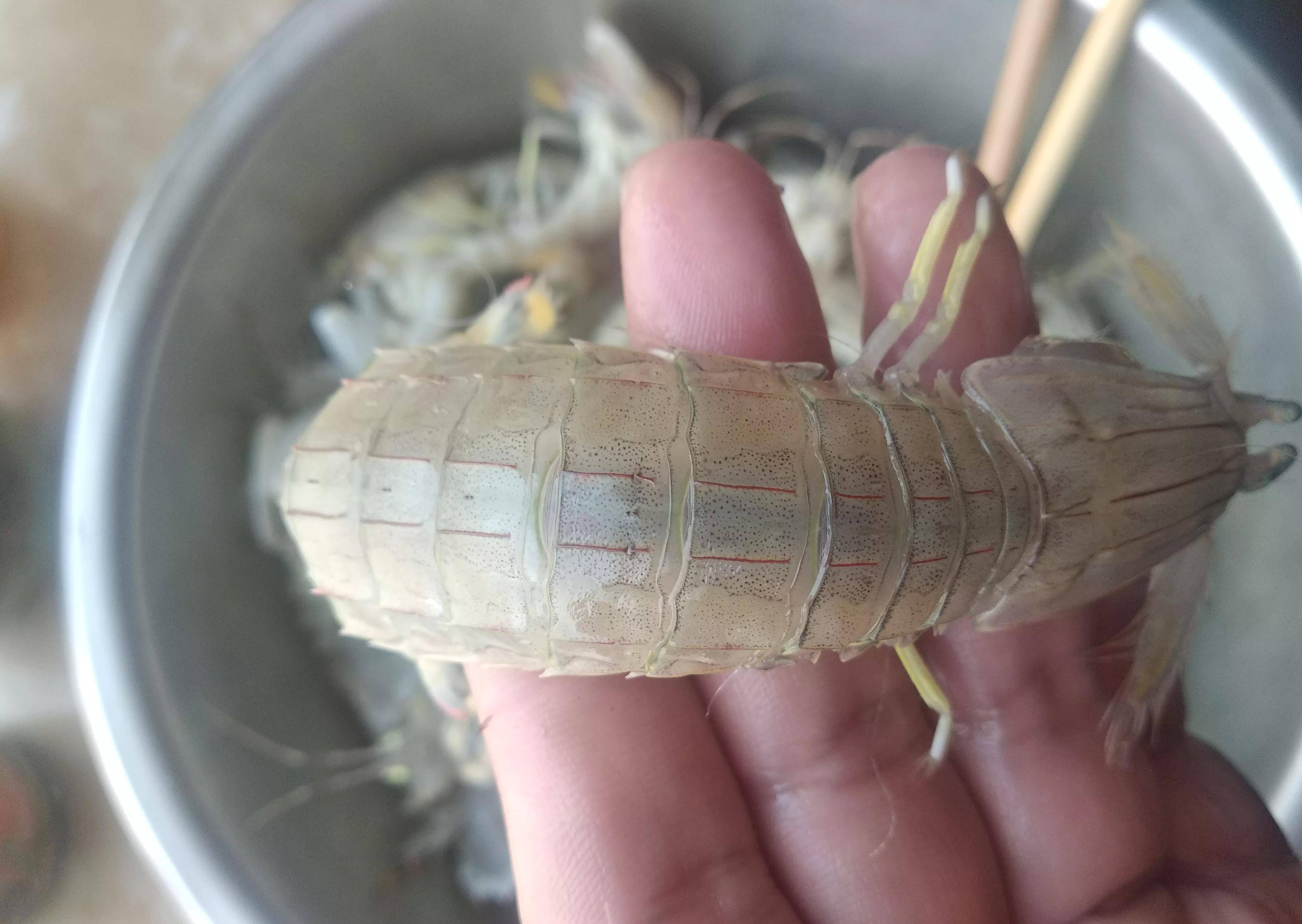 做皮皮虾煮还是蒸好老渔民只用一种做法皮皮虾鲜甜还不腥