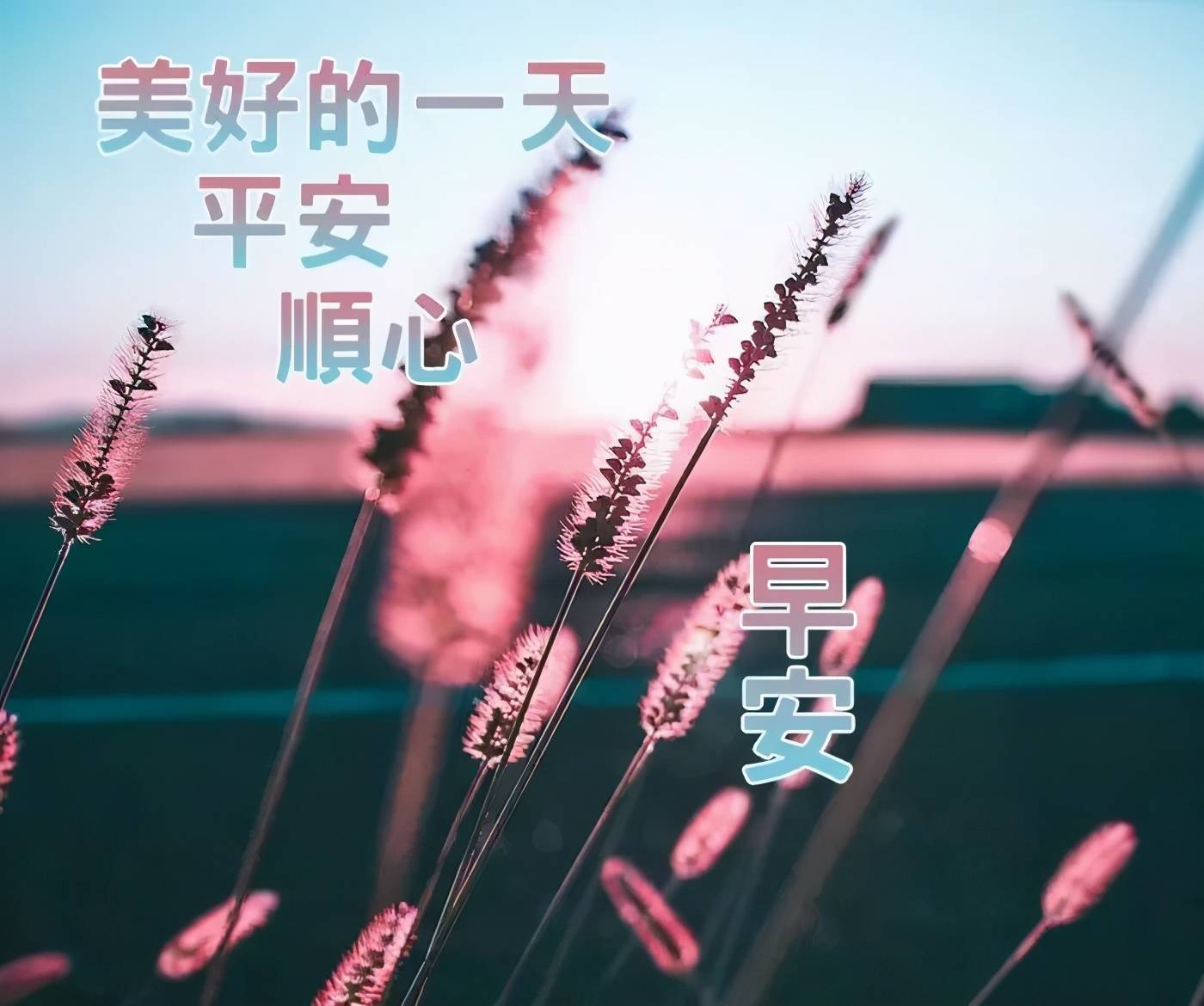 中午的太阳,中午的太阳 风景 - 伤感说说吧