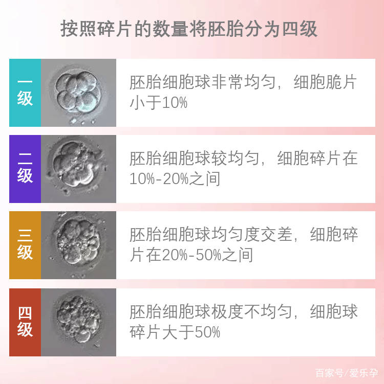 囊胚的等级怎么看? 示例: 4aa