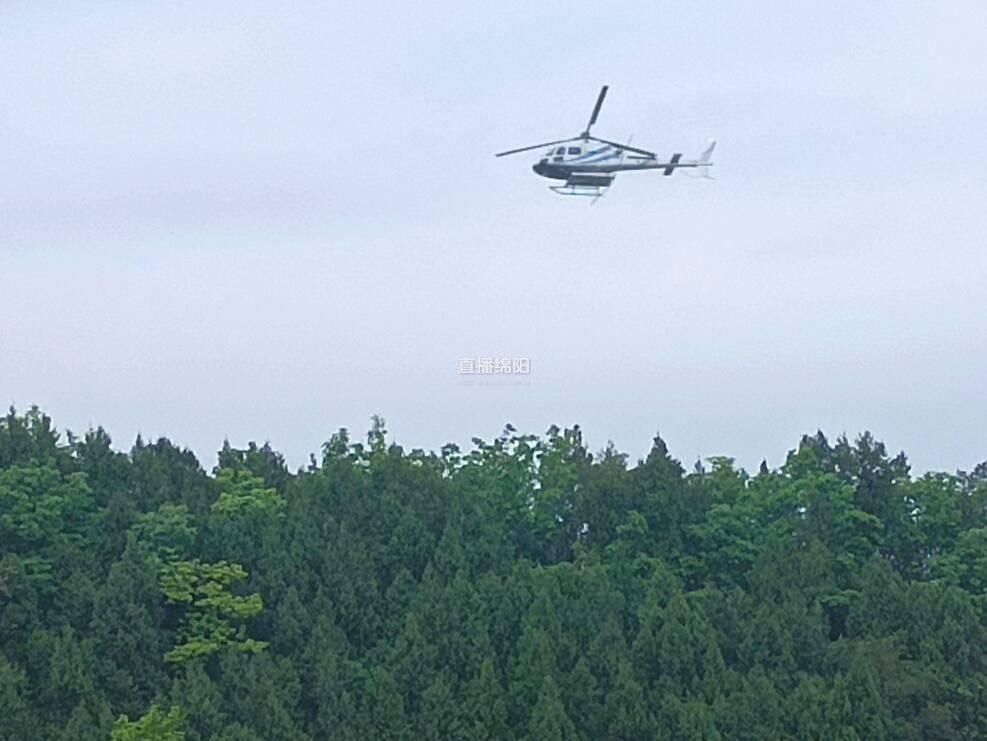 直升飞机飞防灭虫 保护森林资源_梓潼县