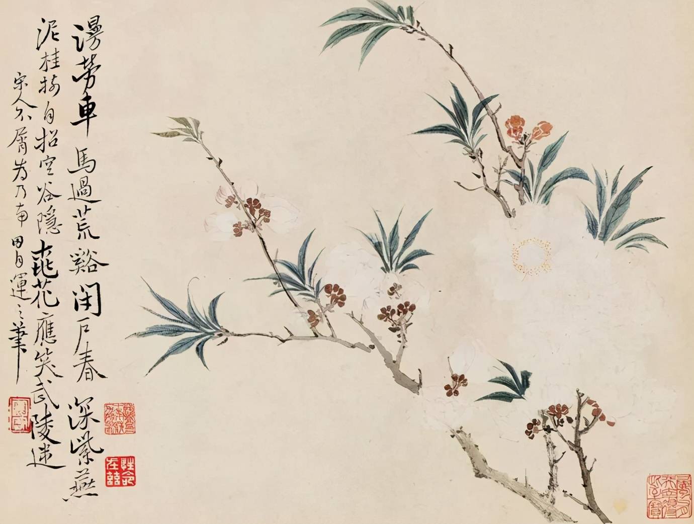 没骨画法复兴者——恽寿平