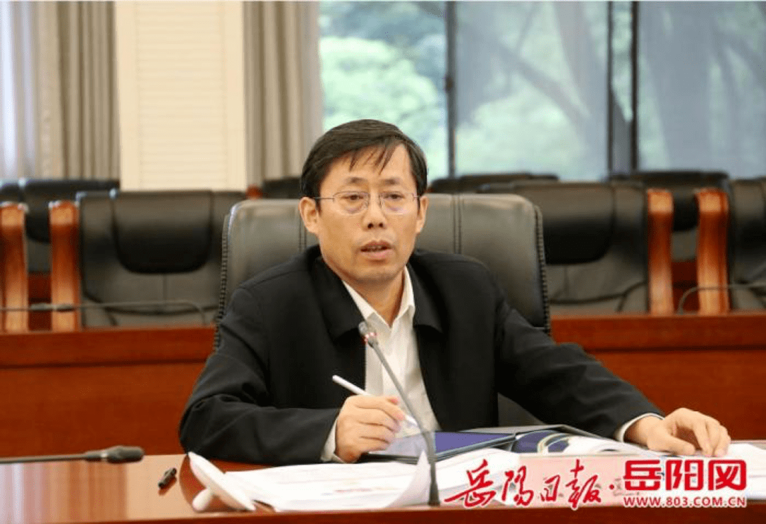 市委宣传部部长马娜,岳阳市委常委,市委秘书长谈正红,岳阳市政府副