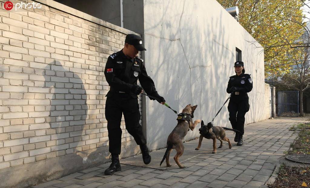 北京市公安局首批克隆犬正式入警_警犬基地