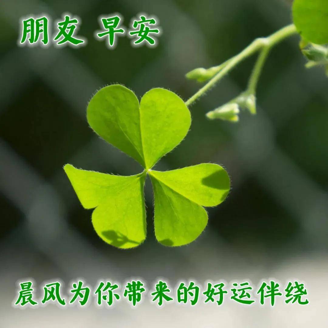 原创2021年4月16日周五清晨早上好问候祝福动态表情图片