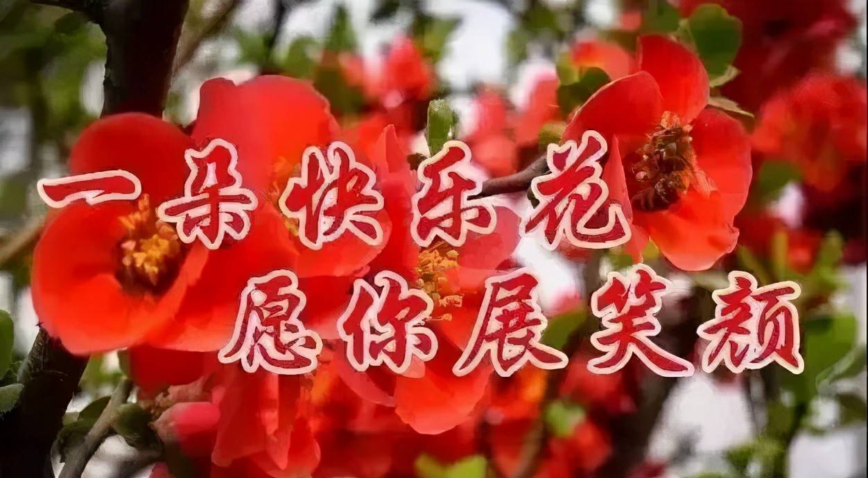 原创早上好祝福词句图片愿快乐幸福呵护你的每一天早安祝福你有个美好