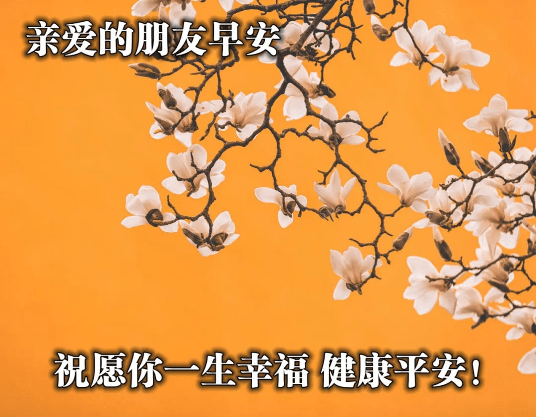 非常暖心的早安问候图片,2021年早安心语祝福图片大全