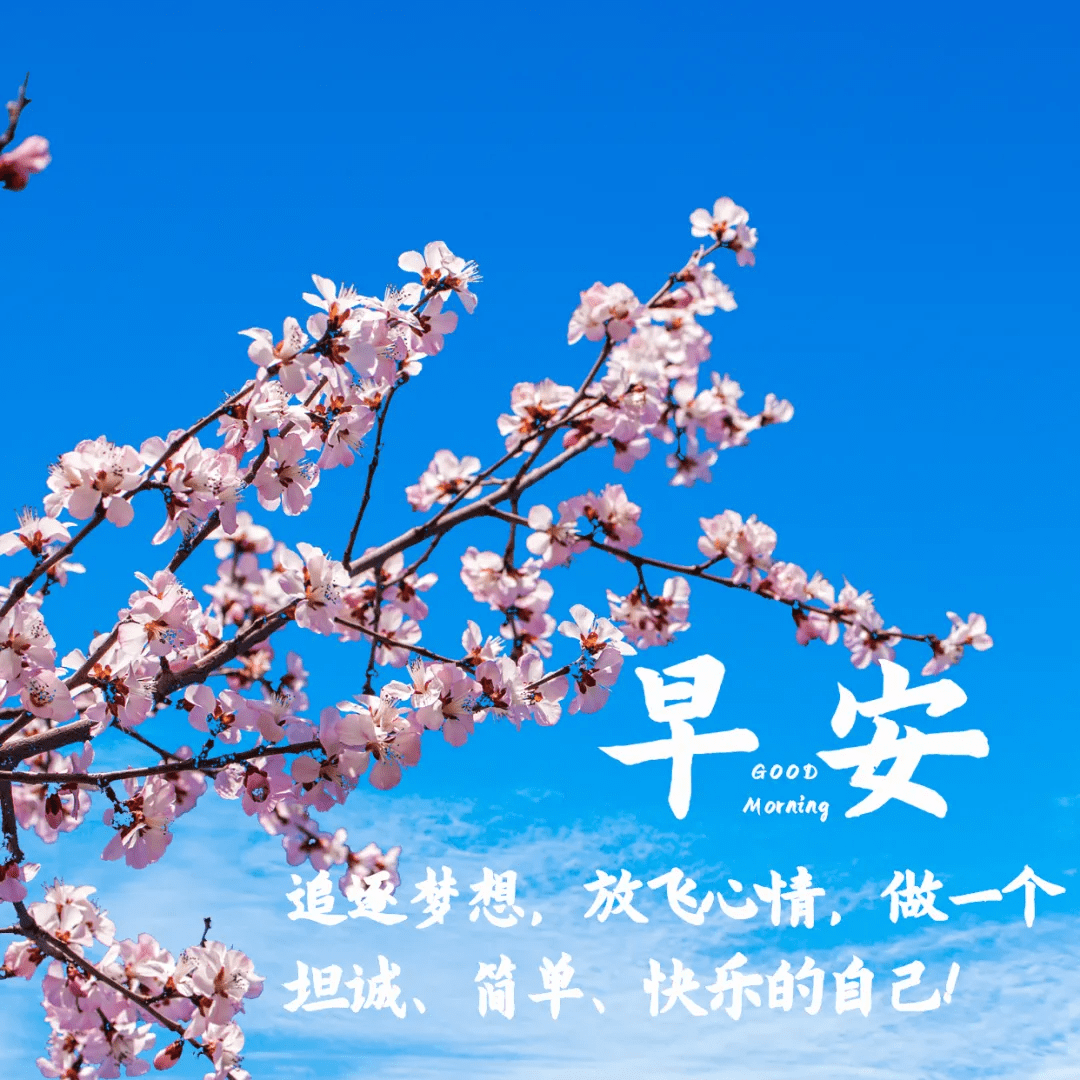 原创早安祝福说说,朋友圈优美的早安心语,唯美的早安图文语录