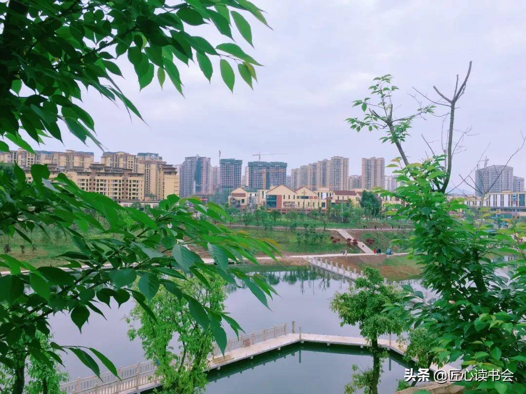 正在修建中的邻水同心湿地公园火了!快来看.