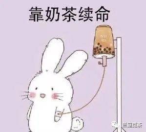 奶茶如何为我们续命,兰庭觅茶告诉你_咖啡因