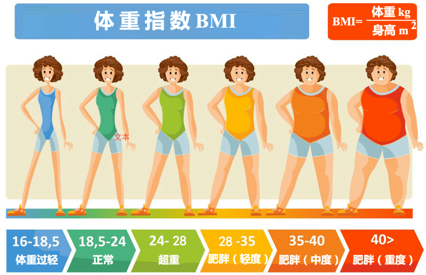 目前,参考中国人的标准,如果你的bmi超过24,就属于超重;如果bmi超过