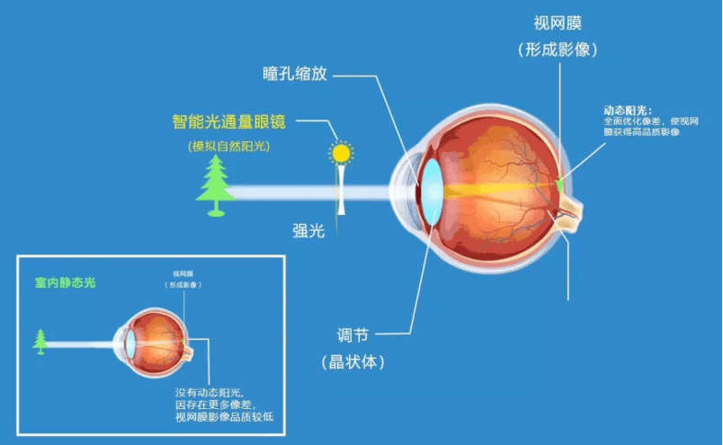 安全吗?试用3个月,我来说说结果