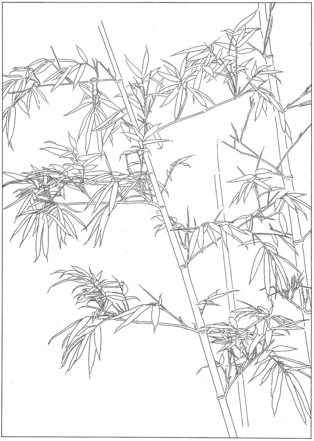 梅兰竹菊四君子白描学习素材高清81幅喜欢就收藏吧