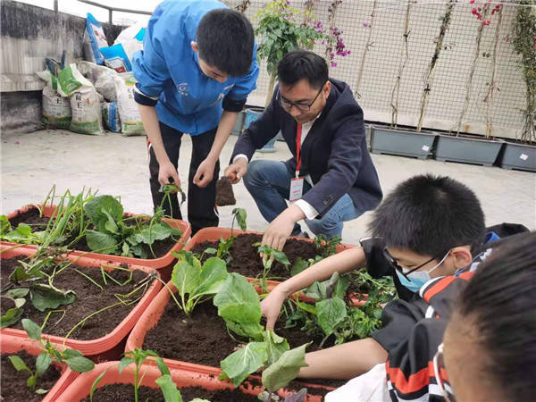 校长带领学生一起种菜 成飞中学劳动课程趣味多!