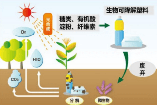 1生物降解塑料定义:生物降解塑料是指一类由自然界存在的微生物如细菌