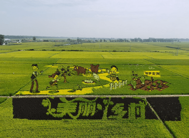 原创沈阳的稻梦空间被沈腾和马丽带火风景比在电影中还美