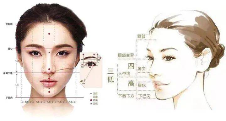 "侧脸是检验颜值的唯一标准,而侧颜的好看与否取决于鼻子"