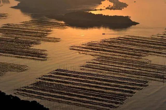 霞浦花竹风光,这才是永远不灭的海市蜃楼