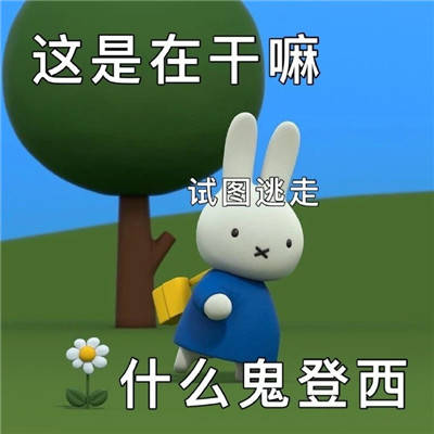 阴阳怪气的米菲兔表情包大全