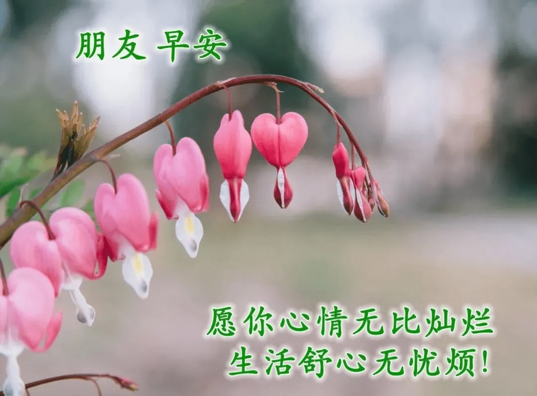 清晨最美早上好动态祝福图片带字早上好阳光励志问候语