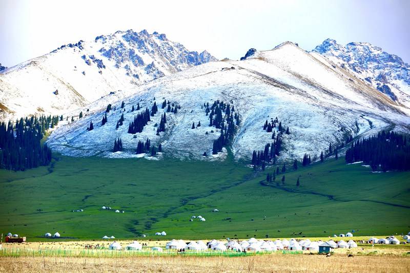 青草雨露高原雪山摄影师镜头中的美景地你去过几处