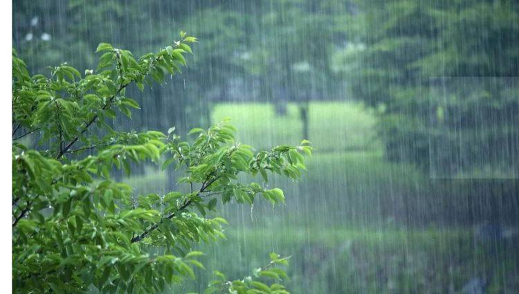 农村俗语"三月初七雨淋淋,谷积场中如土堆",下雨有啥预测?
