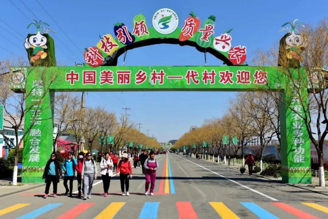 山东省景区化村庄兰陵县卞庄街道代村地址:临沂市兰陵县兰陵县"田园
