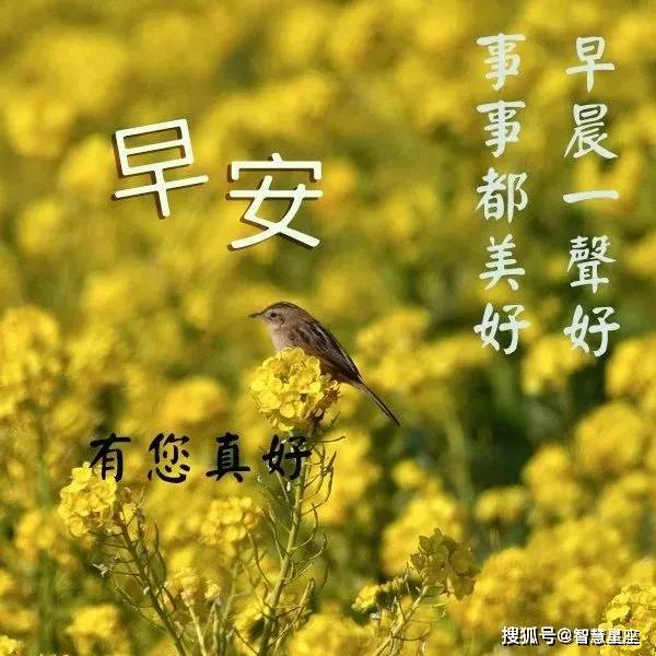 5月1日很好看的早上好问候图片最新版,好温馨的早安祝福语录句子