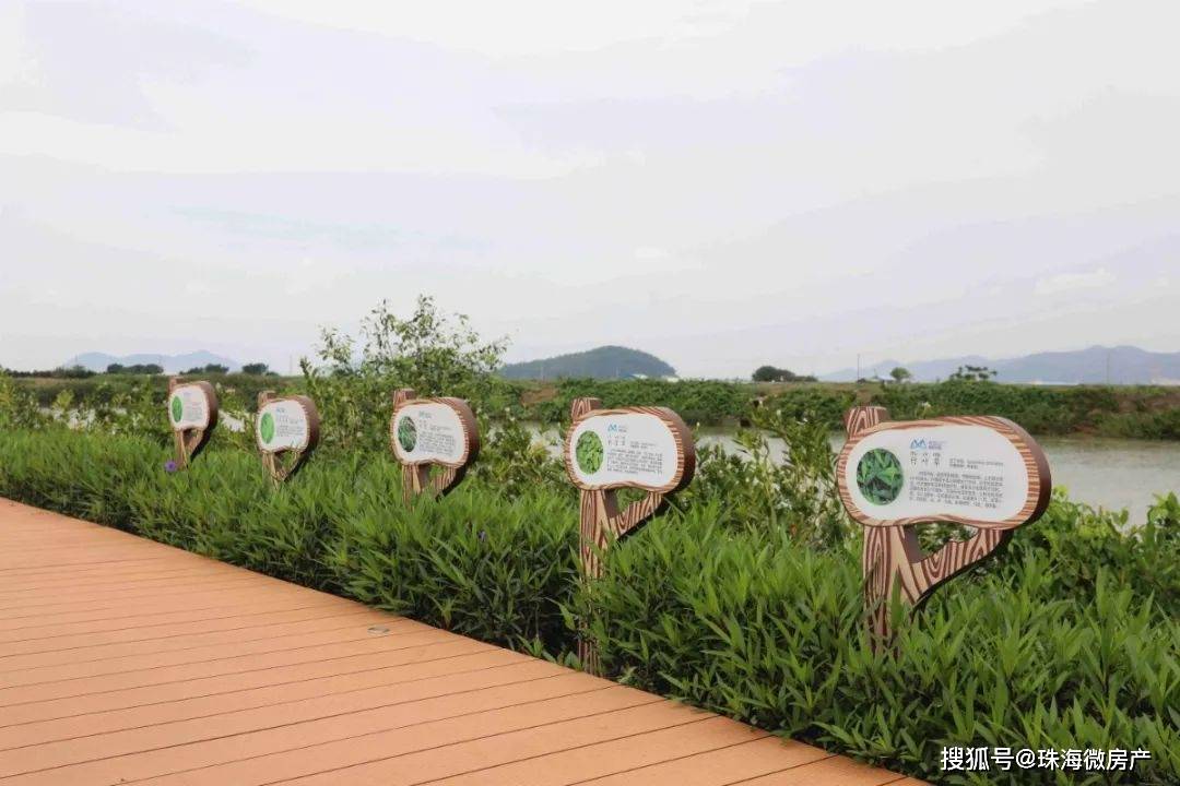 大门口湿地公园又有惊喜了别等了这就去打卡