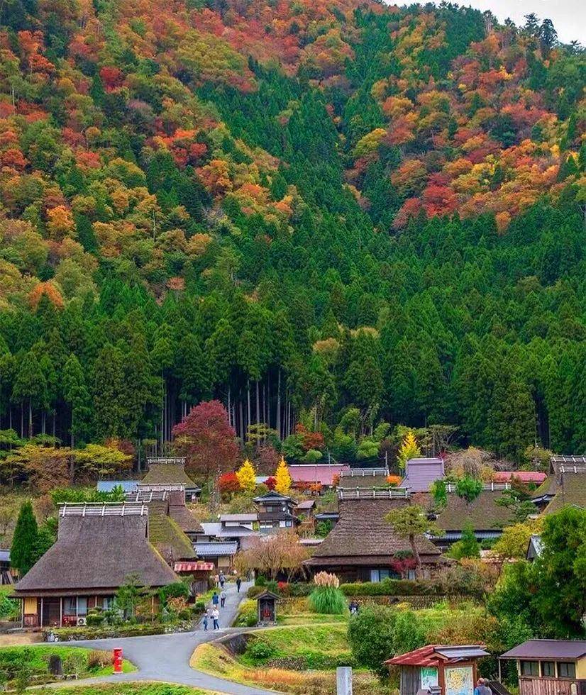 美山町,是一个不折不扣的美丽乡村,有着"日本人心灵的故乡"的盛誉.