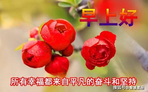 5月3日周一最新最美早安祝福图片 早安温馨祝福语大全