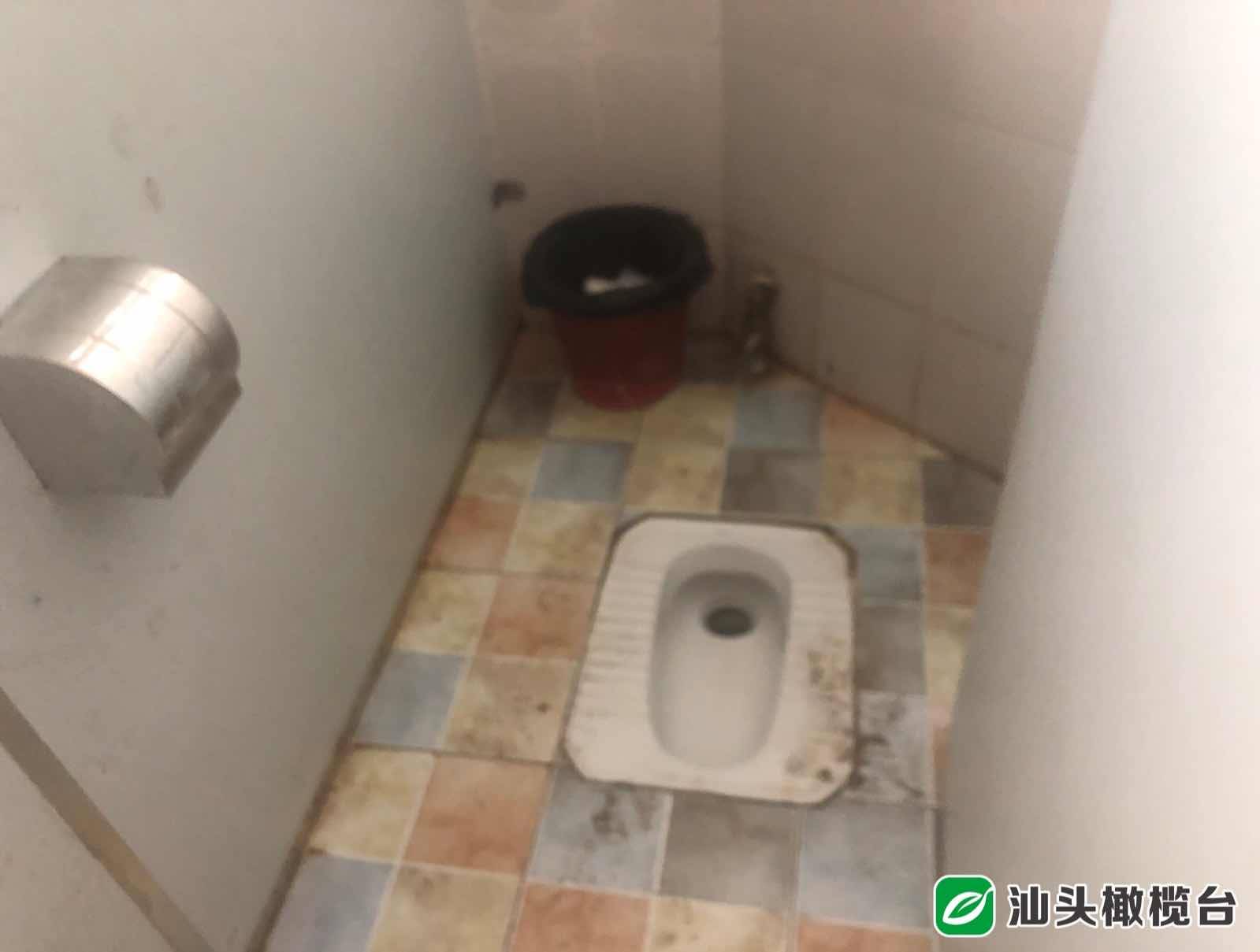 在 龙湖区教育局,督查组发现其公共卫生间里面的垃圾没有分类倾倒,胡