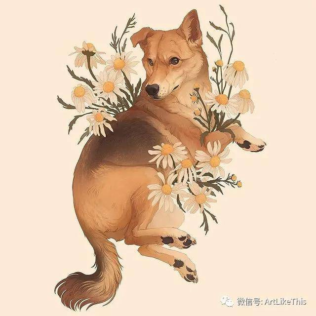 波兰艺术家norapotwora的动物插画