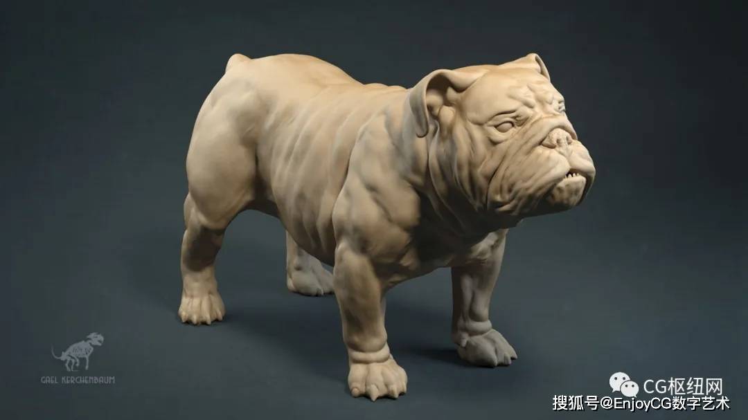 zbrush动物雕刻cg必备