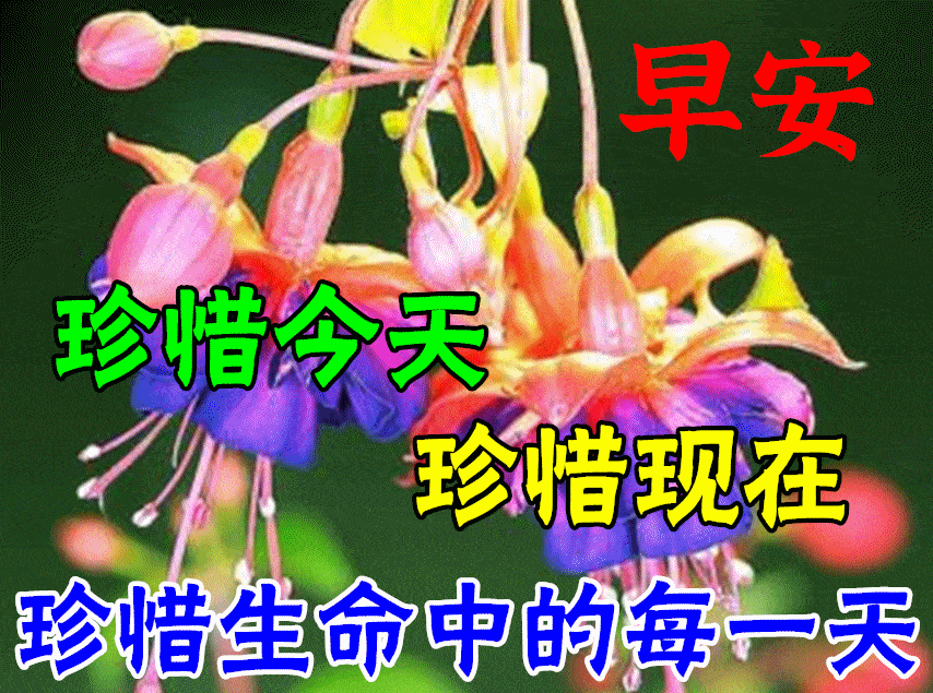 原创2021年特别漂亮的免打字早安祝福语图片创意好看的早安问候语