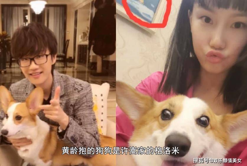 黄龄与男友约会举止亲密男友身份曝光不是许嵩网友惋惜